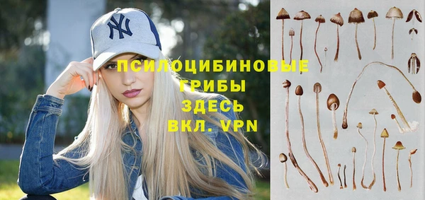 гашик Вязники