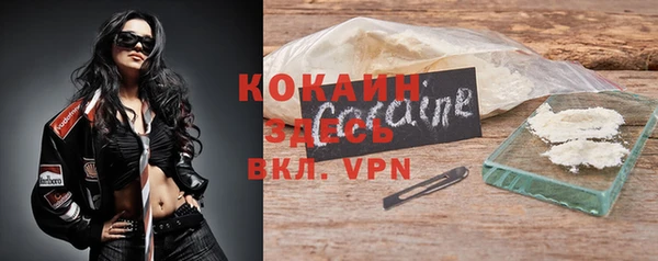 гашик Вязники
