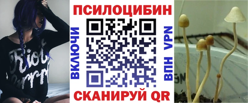 площадка Telegram  Нязепетровск  Псилоцибиновые грибы Psilocybine cubensis  как найти закладки 
